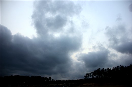 Love is all over the nature of udaypur