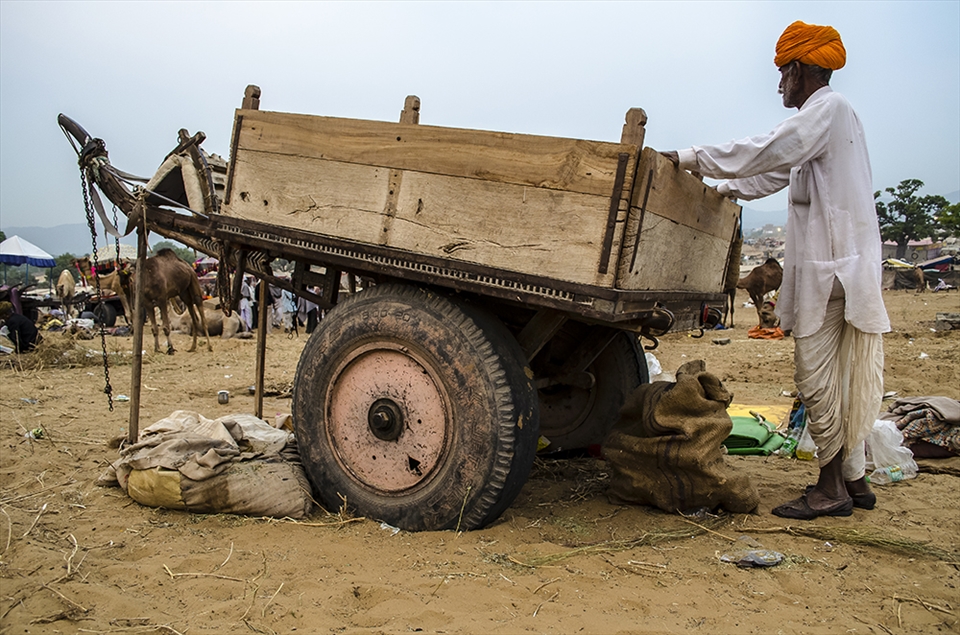 Arriving with hope. a farmer at one of the world's largest livestock fair.