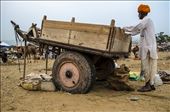 Arriving with hope. a farmer at one of the world's largest livestock fair.: by arpit_v, Views[266]
