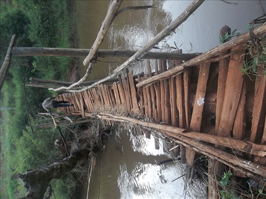 Being a feature to cross on the other side,nature can be viewed so well from it.