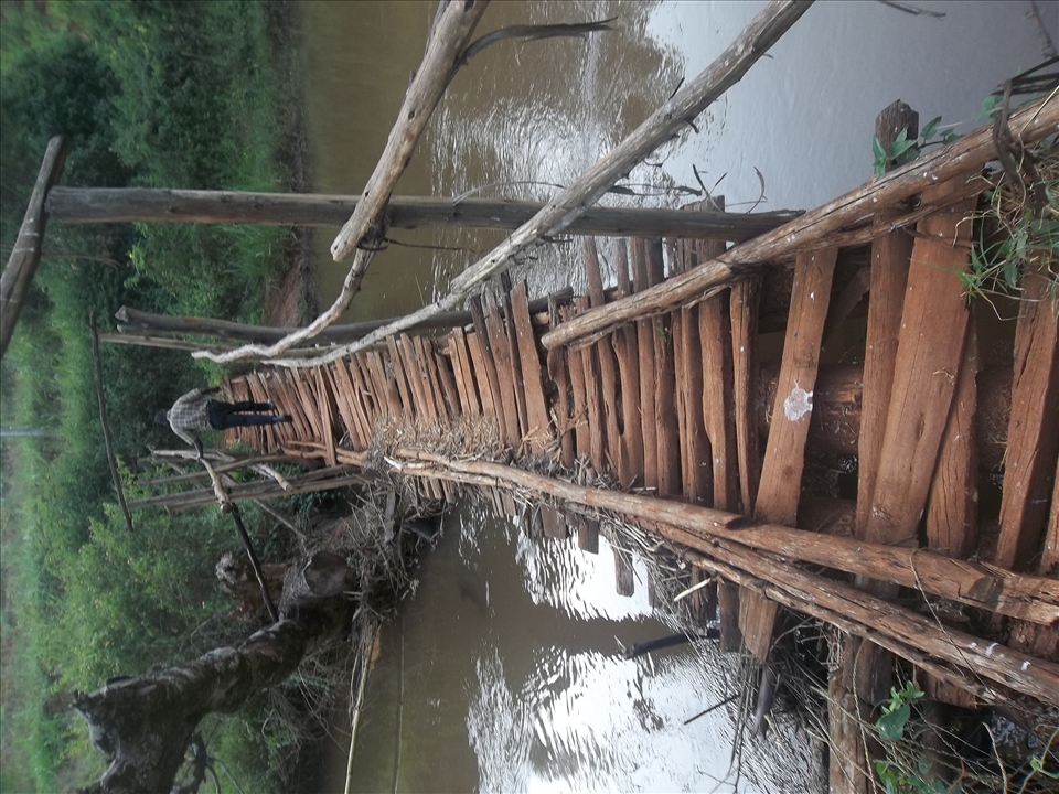 Being a feature to cross on the other side,nature can be viewed so well from it.