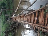 Being a feature to cross on the other side,nature can be viewed so well from it.: by art, Views[363]