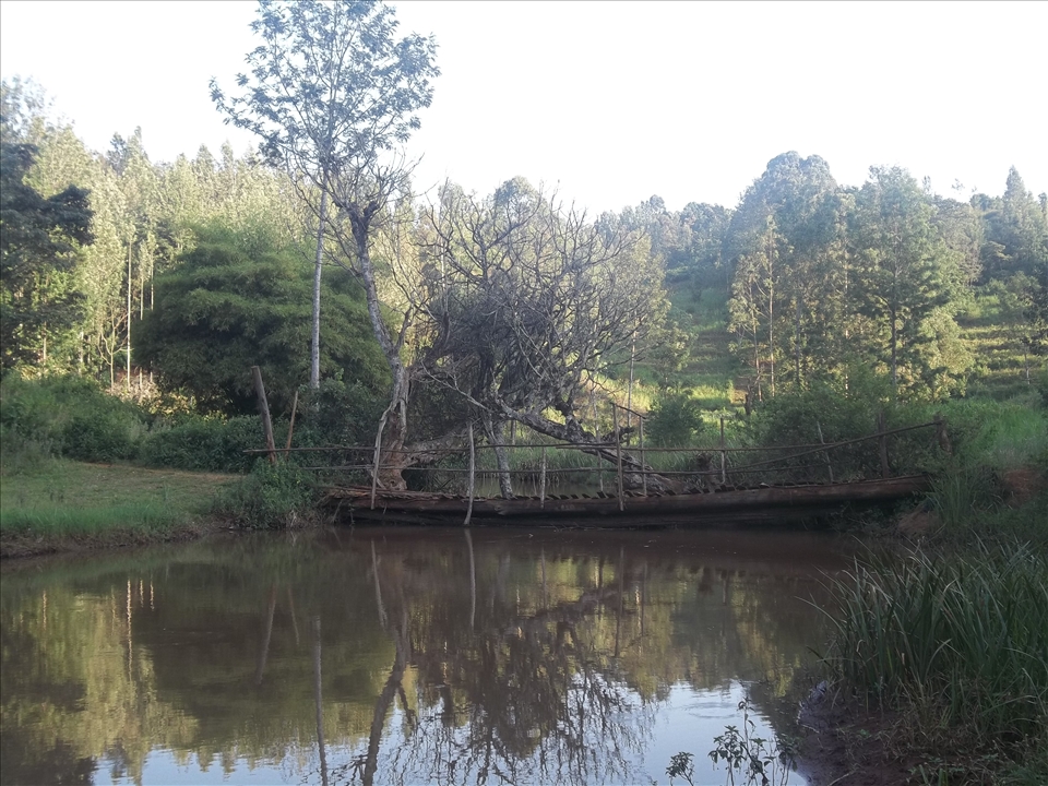 The river shows placidity.