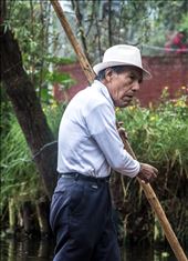 Old rower in a Xochimilco's canal.: by artinlabour, Views[683]