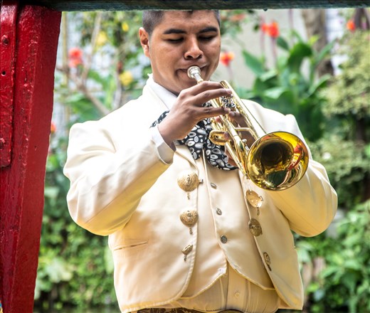 Mariachi trumpeter working on a boat.