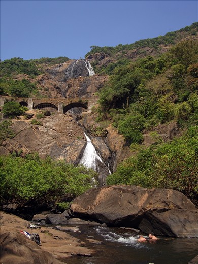  Goa is also rich in flaura and fauna. This snap is of DudhSagar Falls(literally Sea of Milk). Dudhsagar Falls (literally Sea of Milk ) is a tiered waterfall located on the Mandovi River, on Goa's border with Karnataka state. It is four-tiered. It is 60 km from Panaji city by road. We reached the bottom of the falls travelling through the Mahaveer National Park,Mollem,Goa.

