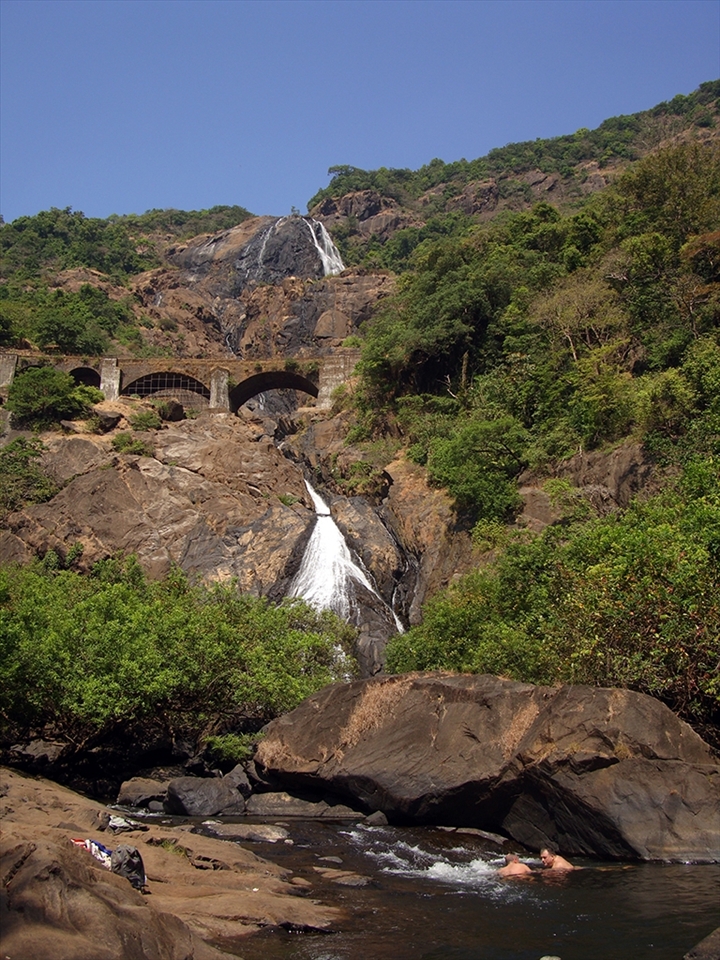  Goa is also rich in flaura and fauna. This snap is of DudhSagar Falls(literally Sea of Milk). Dudhsagar Falls (literally Sea of Milk ) is a tiered waterfall located on the Mandovi River, on Goa's border with Karnataka state. It is four-tiered. It is 60 km from Panaji city by road. We reached the bottom of the falls travelling through the Mahaveer National Park,Mollem,Goa.

