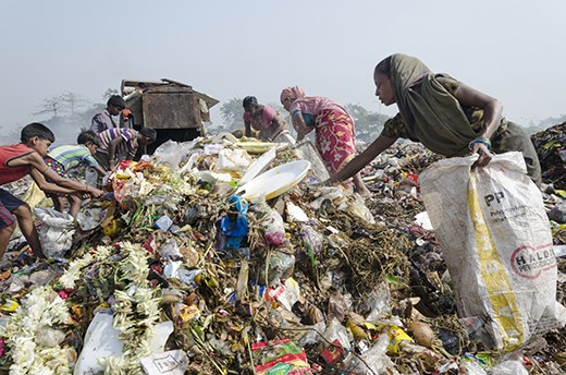 Choosing from fresh dumps