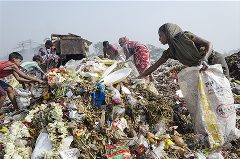 Choosing from fresh dumps