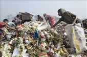 Choosing from fresh dumps: by artist-mukherjee, Views[487]