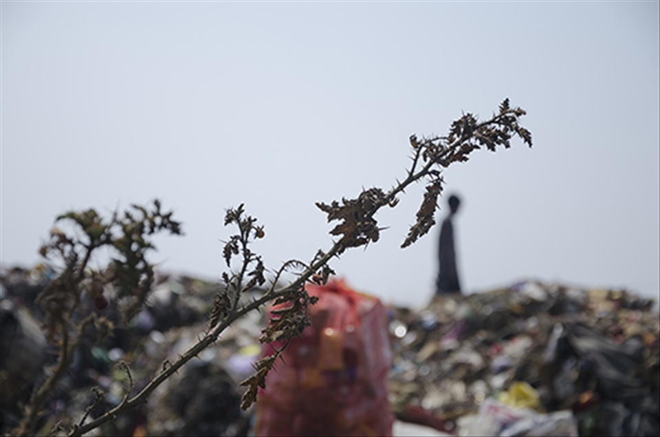 Uncertain and thorny future of the children working there.