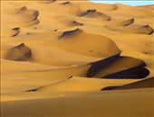 by artistmarina, Views[241]