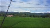 by arumtri, Views[181]