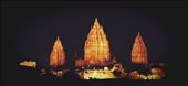 by arumtri, Views[306]