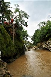 by arumtri, Views[339]