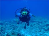 Scuba Diving in Lakshadweep!!!!The Only Coral Island in India...: by ash_click, Views[396]