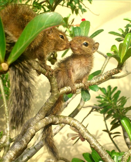 Eddie and Eddie Loves eachother and they don't forget to give a kiss 