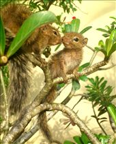 Eddie and Eddie Loves eachother and they don't forget to give a kiss : by ashara, Views[262]