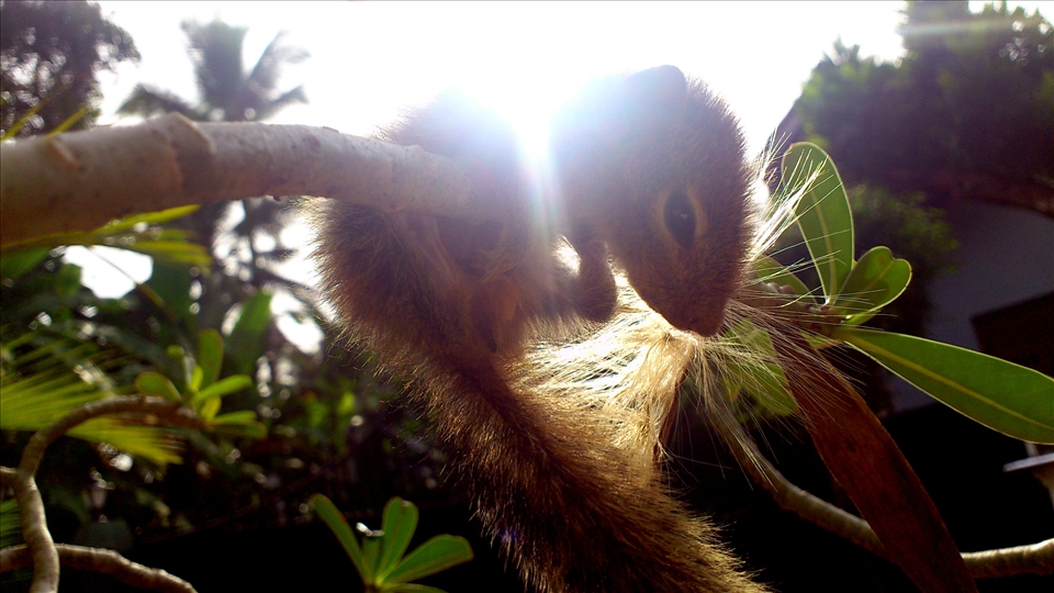Little Eddie like to have some sun before going back to sleep.