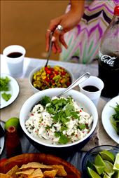 by ashhays, Views[280]