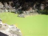Rotorua: by ashleighgoesglobal, Views[116]