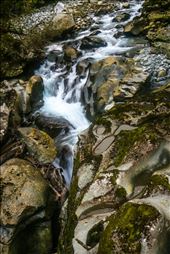 Franz Josef Waterfall: by ashleighgoesglobal, Views[259]