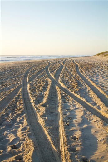 The tracks, paw prints and foot prints covering the dry sand reflected the amount of people who once overcrowded this beach 