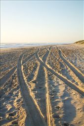 The tracks, paw prints and foot prints covering the dry sand reflected the amount of people who once overcrowded this beach : by ashleightown, Views[363]