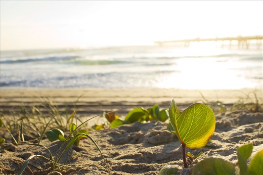 A place so close to the city but yet we felt so far away...