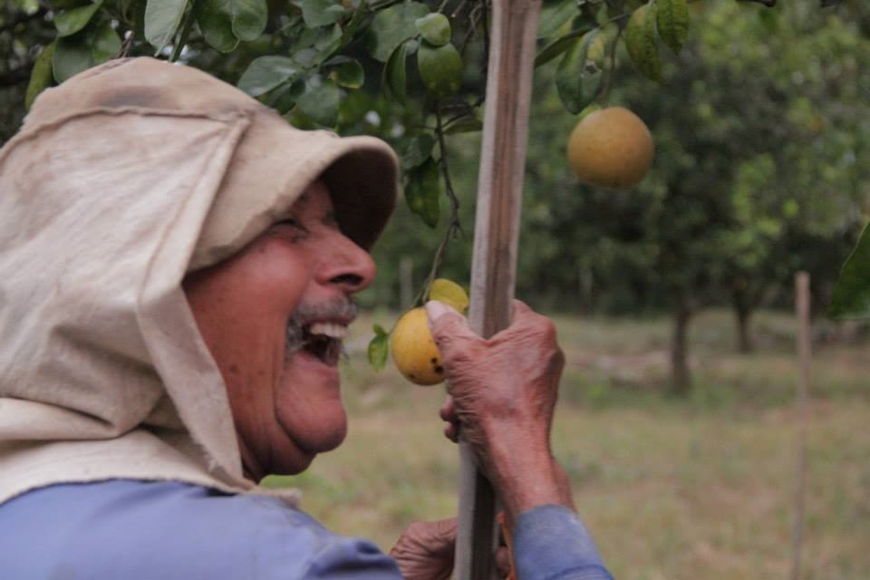 Gorge Penny, struggling fruit farmer in bush, rural zambia.