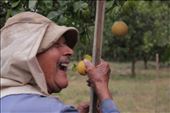 Gorge Penny, struggling fruit farmer in bush, rural zambia.: by ashlingdympna, Views[304]