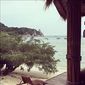 by ashlizche, Views[179]