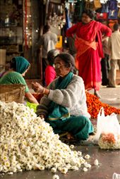 A veteran flower vendor works with a heap of fresh flowers.: by ashwin, Views[375]
