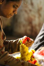 Individual flowers of different colours are strung to make a garland.: by ashwin, Views[421]