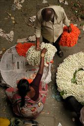Garlands are sold in bulk to retailers who then sell to citizens of Bengaluru.: by ashwin, Views[389]