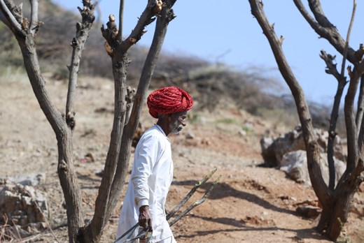 herdsman - We herd sheep, we drive cattle, we lead people. Lead me, follow me