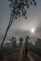 EARLY IN THE MORNING ON THE ROAD: by asitkumarghatak, Views[278]