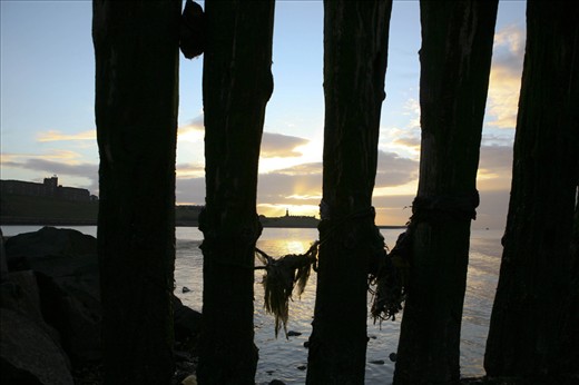 The sun rises behind a once booming fishing town