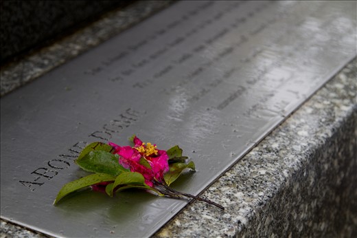 A-Bomb Dome memorial with a bright flower placed gently upon it. A reminder to never allow the dark past re-occur.