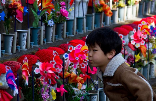 A young boy visiting the Jizō Statues at Zojo-Ji Temple in Tokyo, who take care of the souls of unborn children and those who lost their life at a young age.