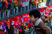 A young boy visiting the Jizō Statues at Zojo-Ji Temple in Tokyo, who take care of the souls of unborn children and those who lost their life at a young age.: by aspiringnomad, Views[727]