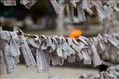 The O-mikuji prayer papers tied to wire outside of the Mitaki-dera temple in Hiroshima. : by aspiringnomad, Views[855]