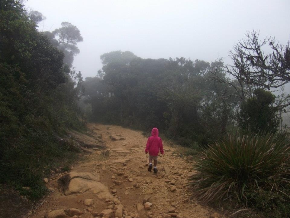 Lets we give a opportunity to next generation, lives with nature.