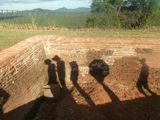 Deforest makes deform living things. 