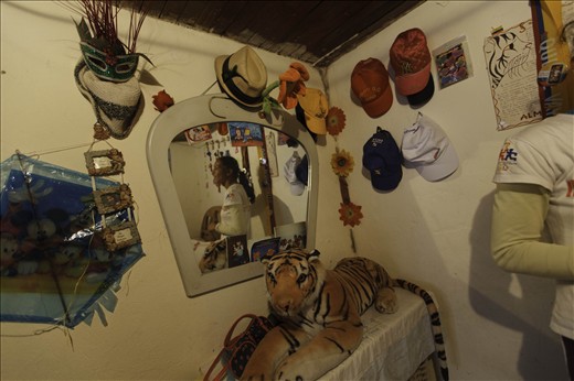 A palace with its own tiger to guard it. 