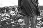Rosario clutches the main weapon of her trade: a short hook known as a “kalahig”. With this tool, she digs around the rubbish and collects items that she can resell.  : by atomaraullo, Views[606]