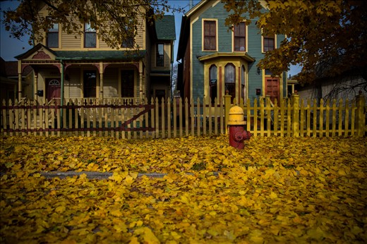 Corktown Detroit's parade of fall colors. 