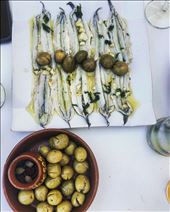 by aubereylescure, Views[175]