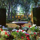 by aubereylescure, Views[154]