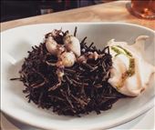 by aubereylescure, Views[172]